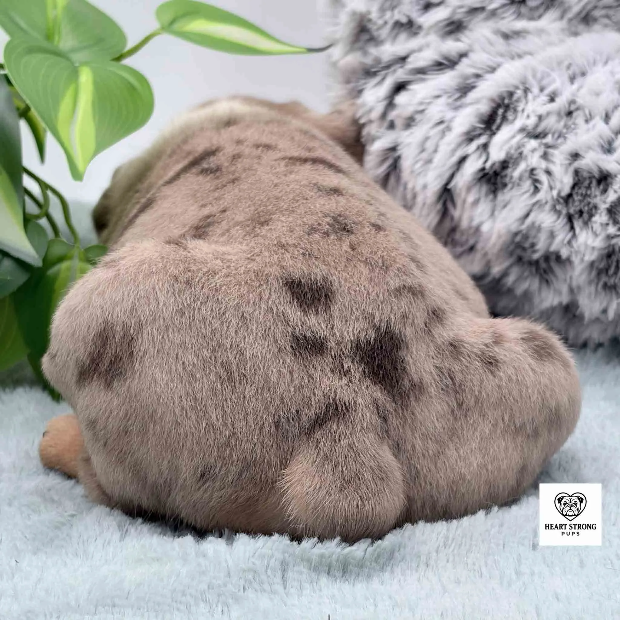 back side of a tan and brown puppy with a little button of a tail