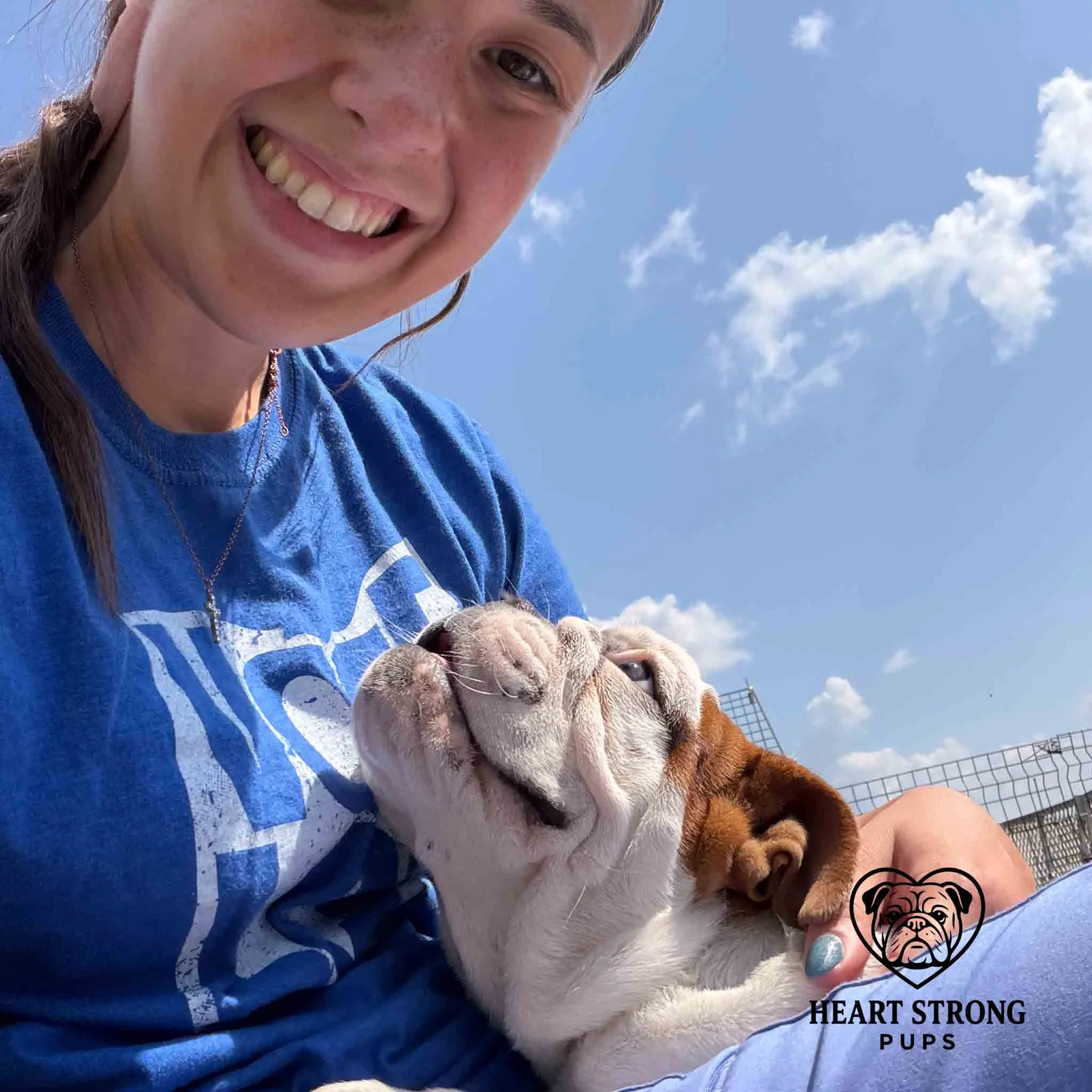 English Bulldog pup loving her snuggles under the bright sky